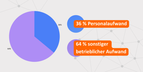 Grafik zu den Ausgaben des Kompetenzzentrums 2025